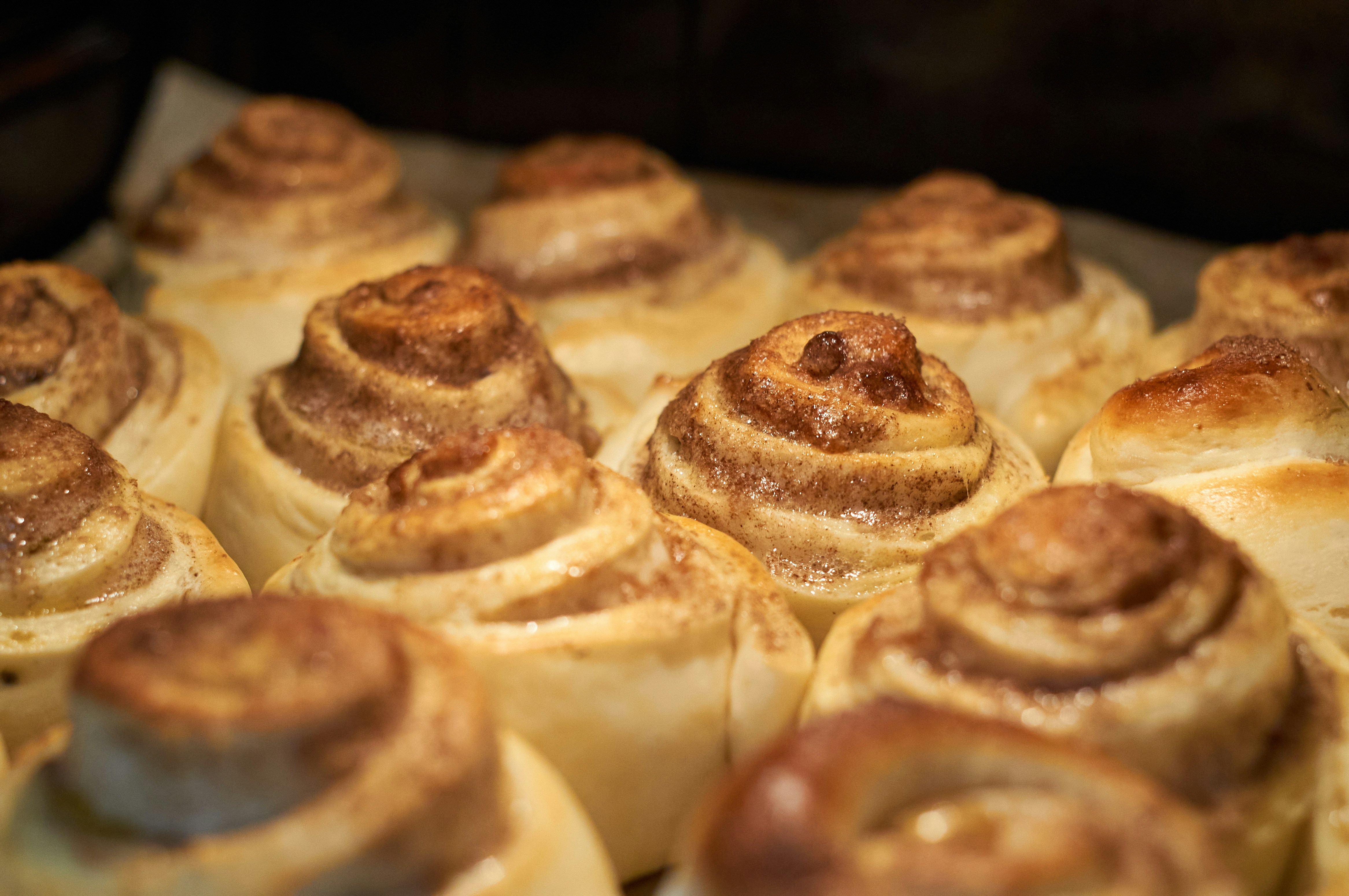 Cinnamon roll close up